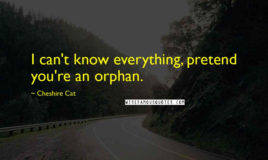 Cheshire Cat Quotes: I can't know everything, pretend you're an orphan.