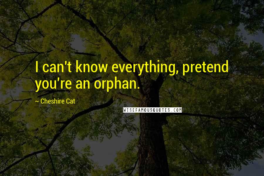 Cheshire Cat Quotes: I can't know everything, pretend you're an orphan.