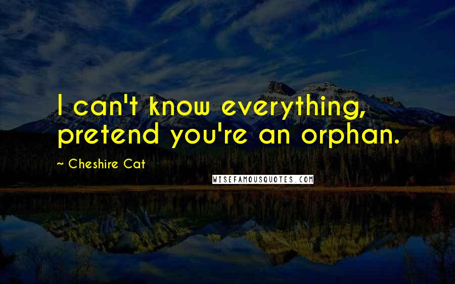 Cheshire Cat Quotes: I can't know everything, pretend you're an orphan.