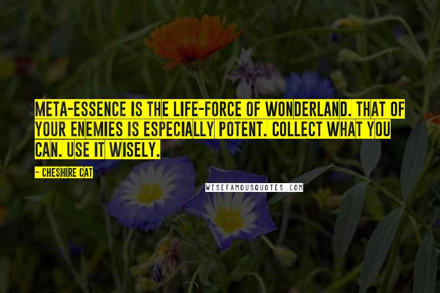 Cheshire Cat Quotes: Meta-Essence is the life-force of Wonderland. That of your enemies is especially potent. Collect what you can. Use it wisely.