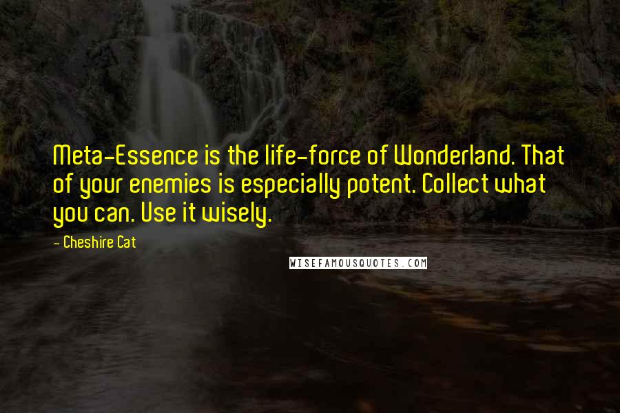 Cheshire Cat Quotes: Meta-Essence is the life-force of Wonderland. That of your enemies is especially potent. Collect what you can. Use it wisely.