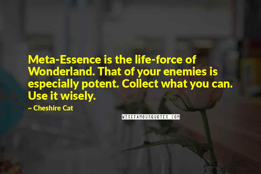 Cheshire Cat Quotes: Meta-Essence is the life-force of Wonderland. That of your enemies is especially potent. Collect what you can. Use it wisely.