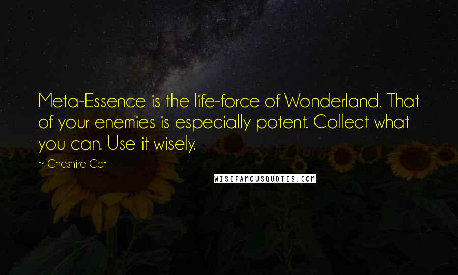 Cheshire Cat Quotes: Meta-Essence is the life-force of Wonderland. That of your enemies is especially potent. Collect what you can. Use it wisely.