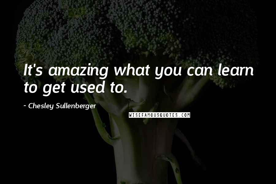 Chesley Sullenberger Quotes: It's amazing what you can learn to get used to.