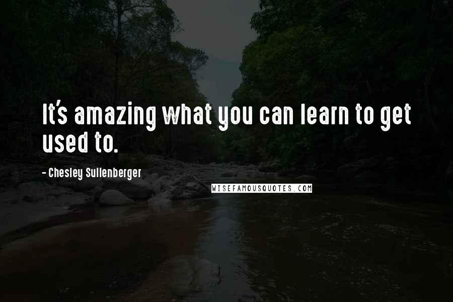 Chesley Sullenberger Quotes: It's amazing what you can learn to get used to.