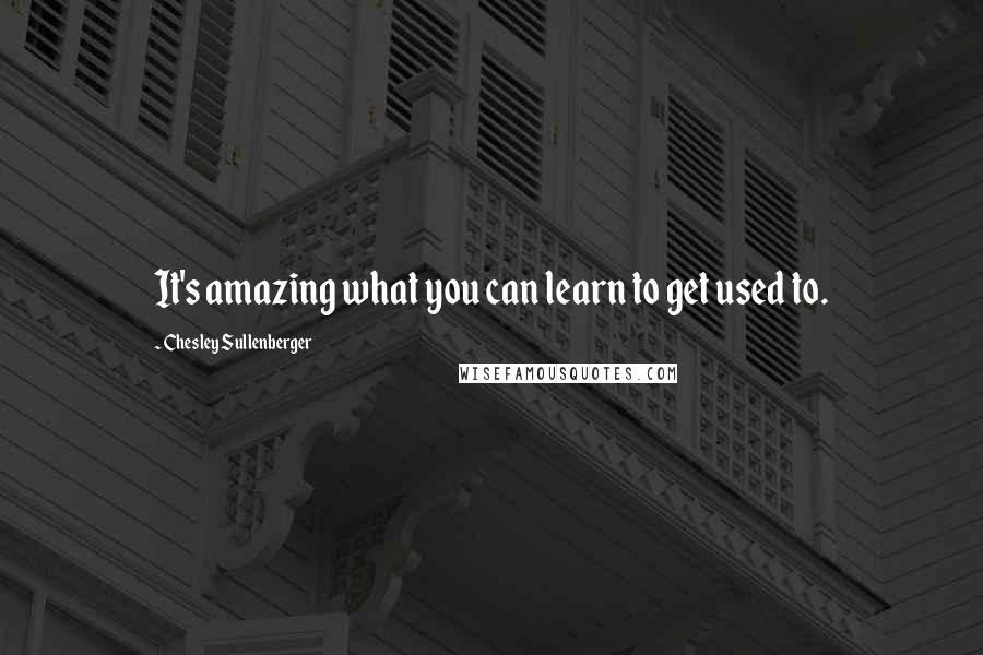 Chesley Sullenberger Quotes: It's amazing what you can learn to get used to.