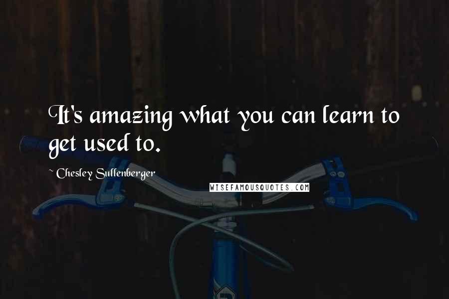 Chesley Sullenberger Quotes: It's amazing what you can learn to get used to.