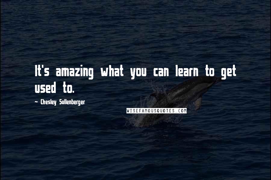 Chesley Sullenberger Quotes: It's amazing what you can learn to get used to.