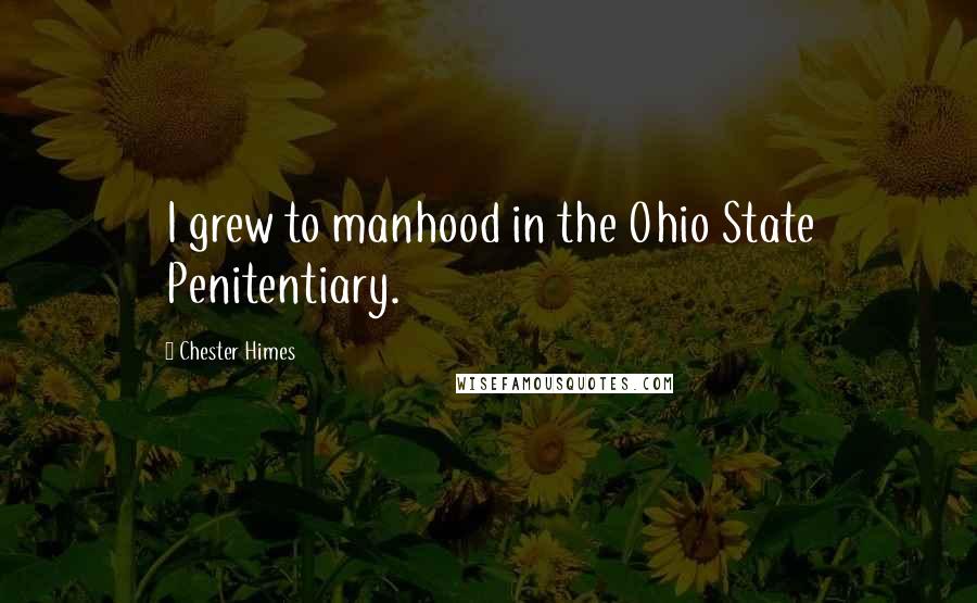 Chester Himes Quotes: I grew to manhood in the Ohio State Penitentiary.