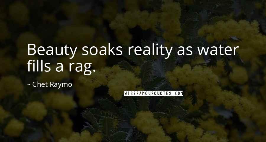 Chet Raymo Quotes: Beauty soaks reality as water fills a rag.