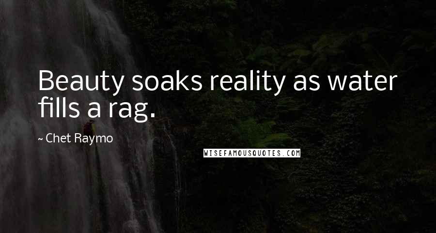 Chet Raymo Quotes: Beauty soaks reality as water fills a rag.