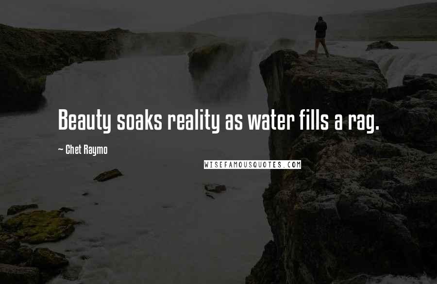 Chet Raymo Quotes: Beauty soaks reality as water fills a rag.