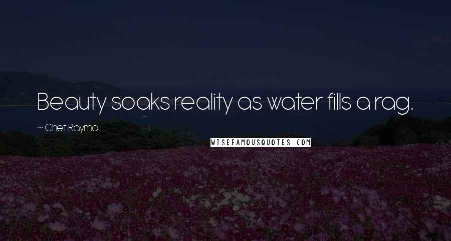 Chet Raymo Quotes: Beauty soaks reality as water fills a rag.