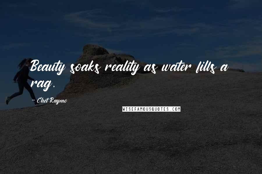 Chet Raymo Quotes: Beauty soaks reality as water fills a rag.