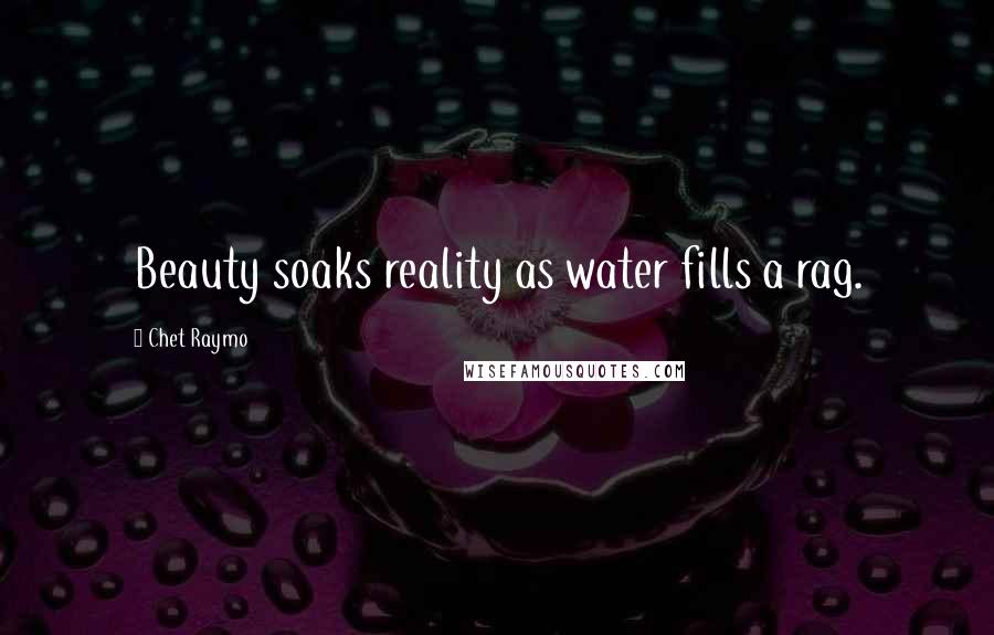 Chet Raymo Quotes: Beauty soaks reality as water fills a rag.