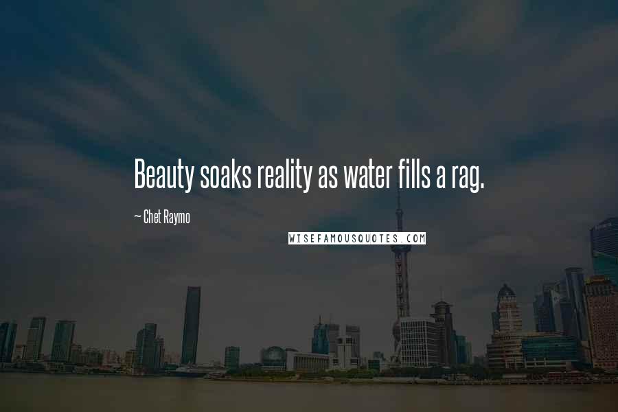 Chet Raymo Quotes: Beauty soaks reality as water fills a rag.