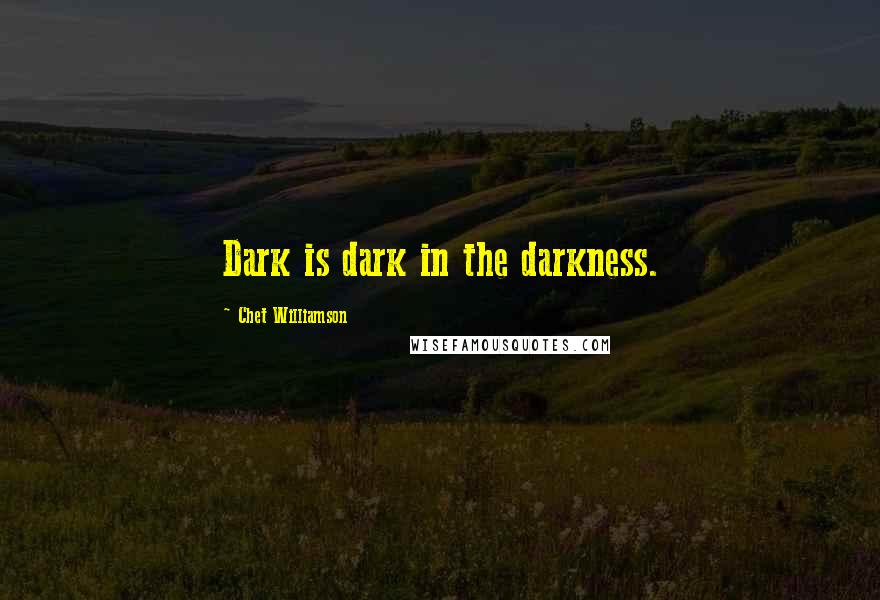 Chet Williamson Quotes: Dark is dark in the darkness.
