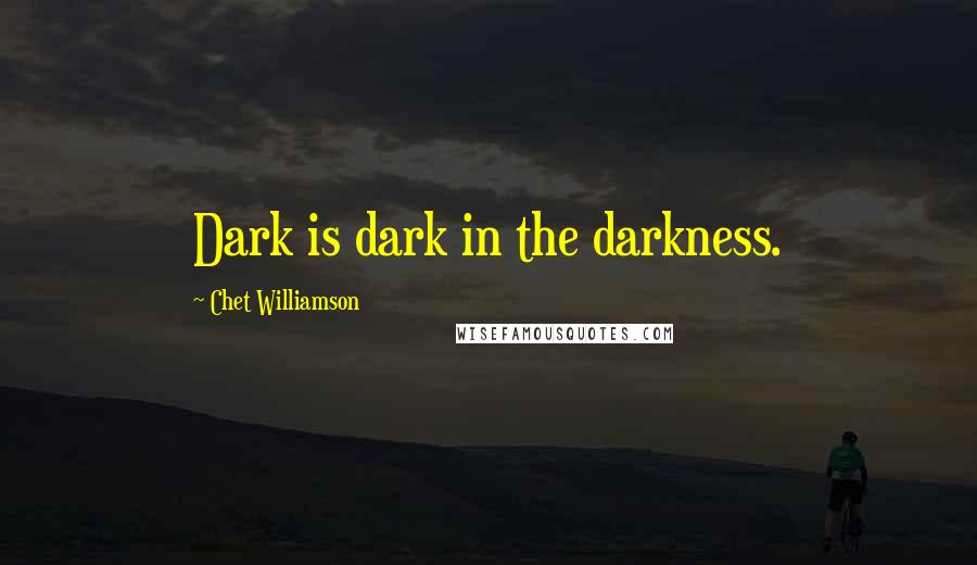 Chet Williamson Quotes: Dark is dark in the darkness.