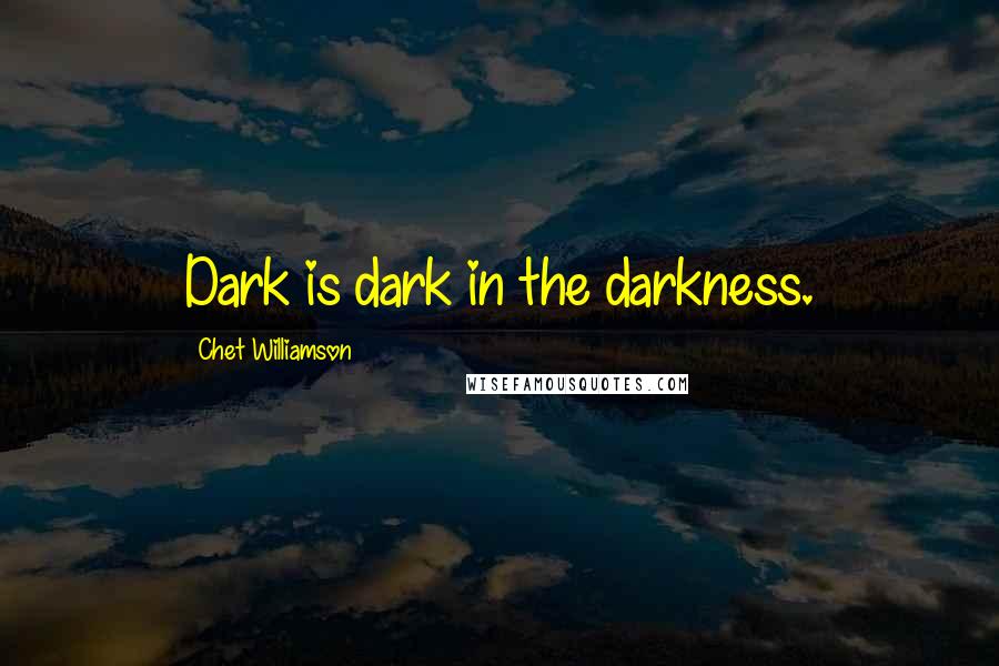 Chet Williamson Quotes: Dark is dark in the darkness.