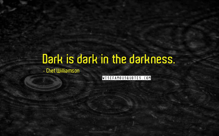 Chet Williamson Quotes: Dark is dark in the darkness.