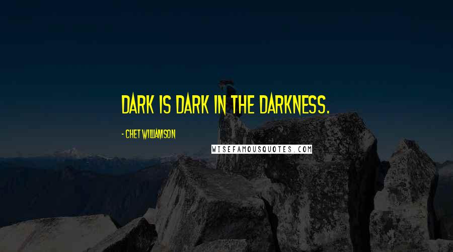 Chet Williamson Quotes: Dark is dark in the darkness.