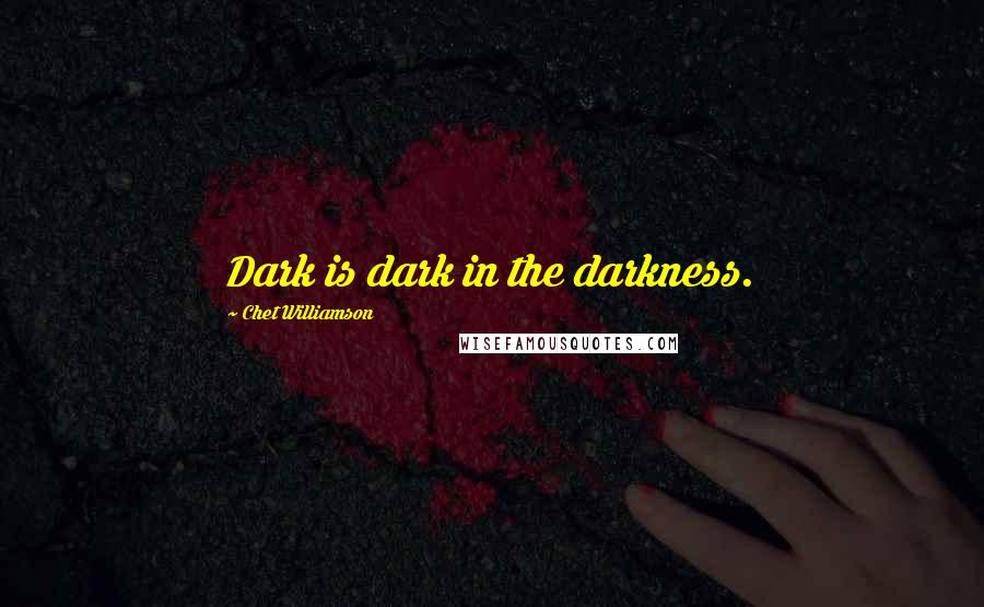 Chet Williamson Quotes: Dark is dark in the darkness.