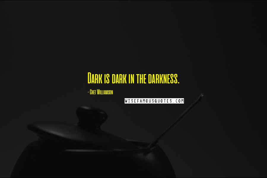 Chet Williamson Quotes: Dark is dark in the darkness.