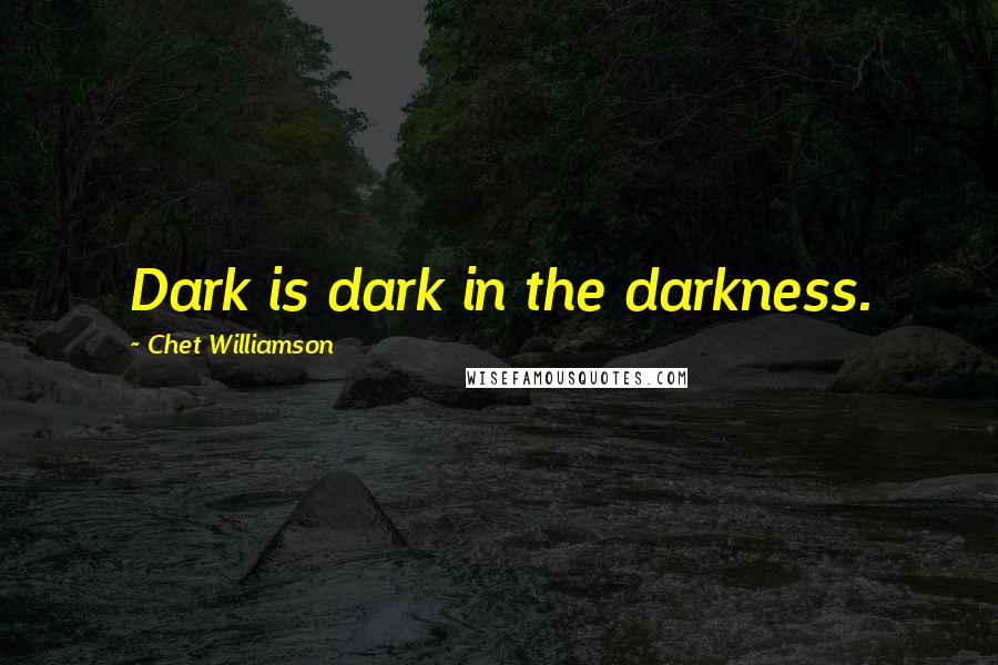 Chet Williamson Quotes: Dark is dark in the darkness.