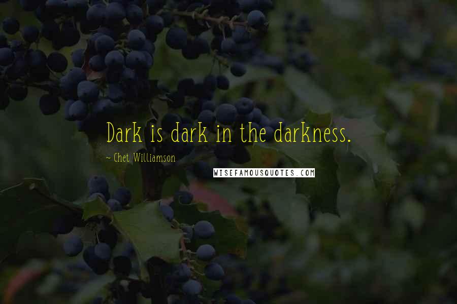 Chet Williamson Quotes: Dark is dark in the darkness.