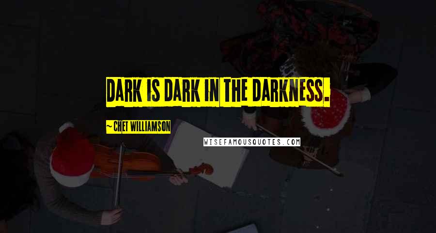 Chet Williamson Quotes: Dark is dark in the darkness.