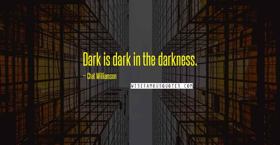 Chet Williamson Quotes: Dark is dark in the darkness.