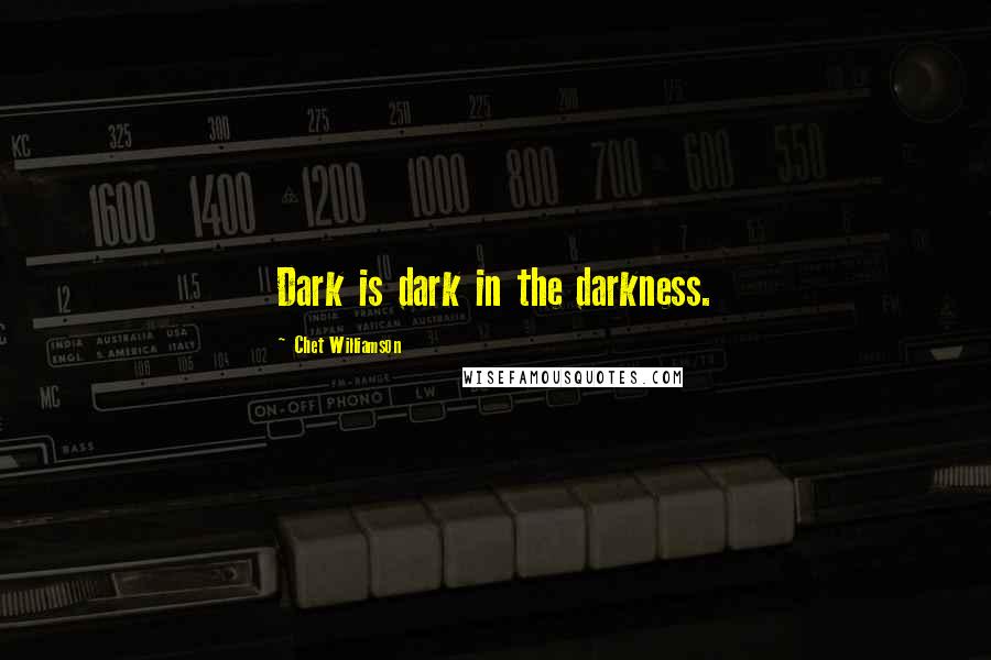 Chet Williamson Quotes: Dark is dark in the darkness.