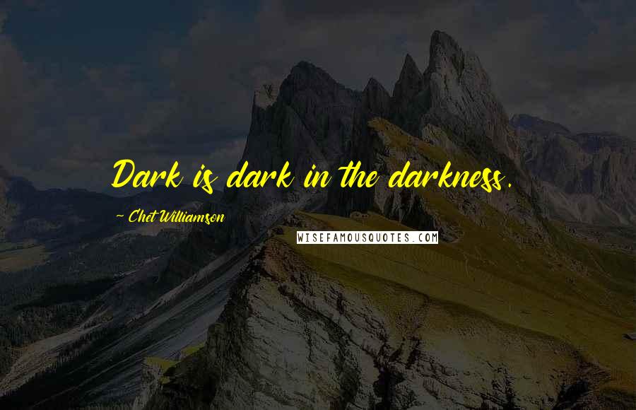 Chet Williamson Quotes: Dark is dark in the darkness.