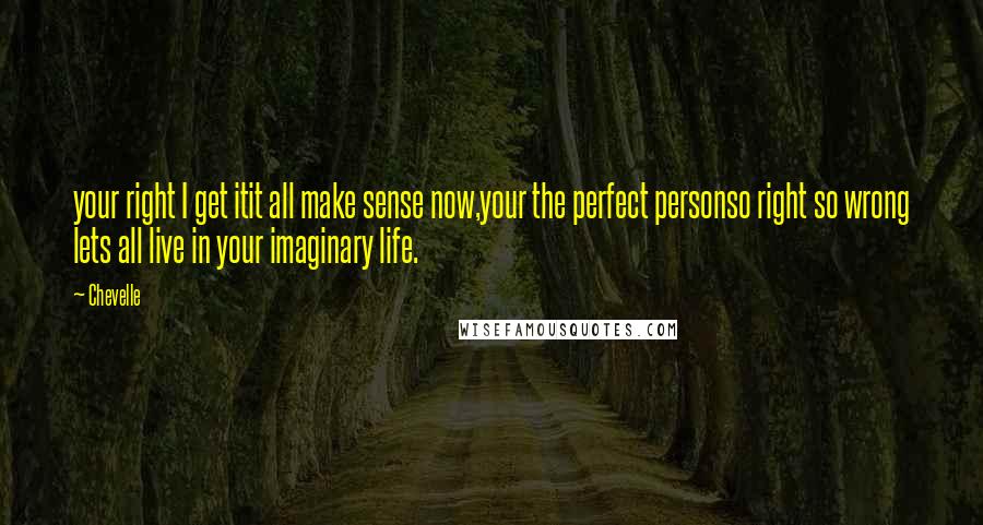 Chevelle Quotes: your right I get itit all make sense now,your the perfect personso right so wrong lets all live in your imaginary life.