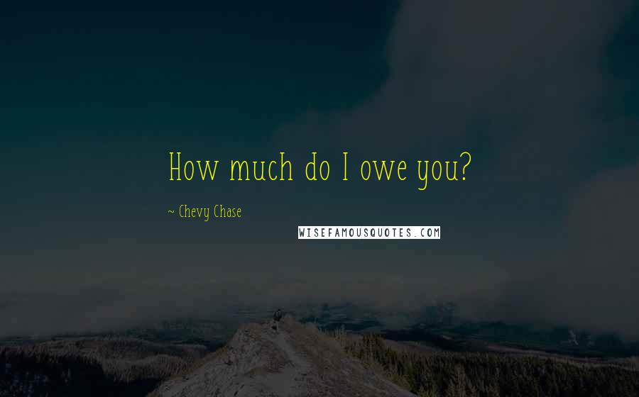 Chevy Chase Quotes: How much do I owe you?