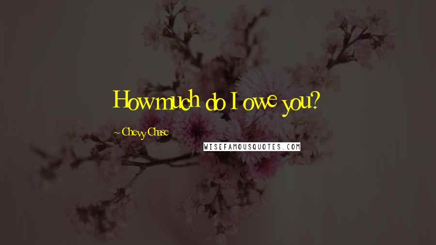 Chevy Chase Quotes: How much do I owe you?