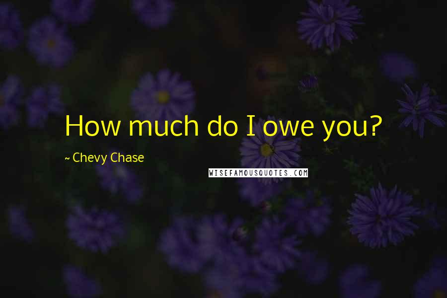 Chevy Chase Quotes: How much do I owe you?