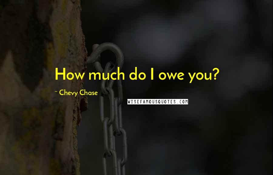 Chevy Chase Quotes: How much do I owe you?