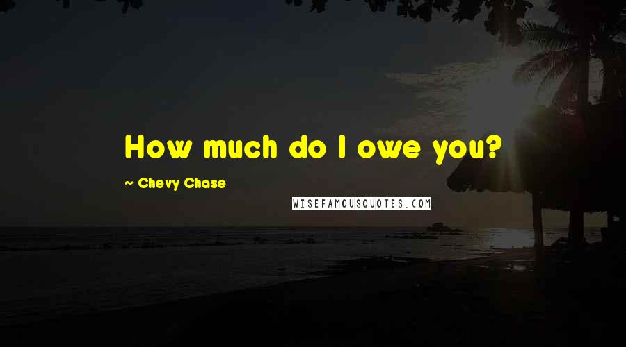 Chevy Chase Quotes: How much do I owe you?