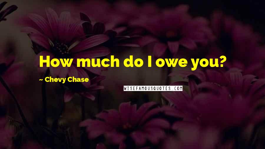 Chevy Chase Quotes: How much do I owe you?