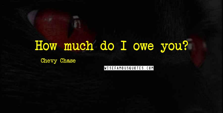 Chevy Chase Quotes: How much do I owe you?