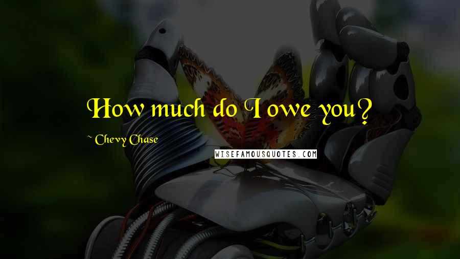 Chevy Chase Quotes: How much do I owe you?