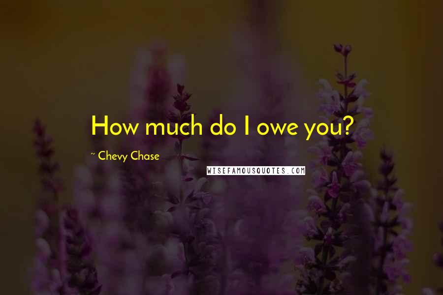 Chevy Chase Quotes: How much do I owe you?