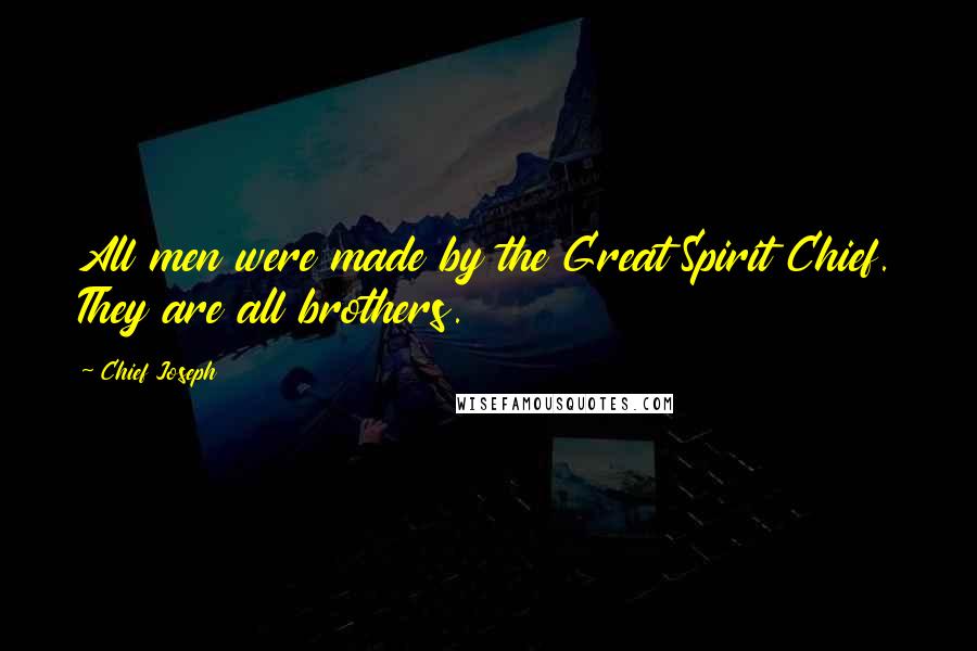 Chief Joseph Quotes: All men were made by the Great Spirit Chief. They are all brothers.