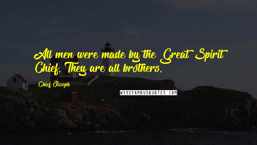 Chief Joseph Quotes: All men were made by the Great Spirit Chief. They are all brothers.