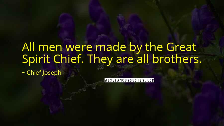 Chief Joseph Quotes: All men were made by the Great Spirit Chief. They are all brothers.