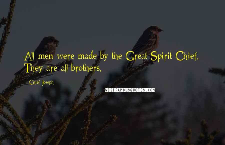 Chief Joseph Quotes: All men were made by the Great Spirit Chief. They are all brothers.