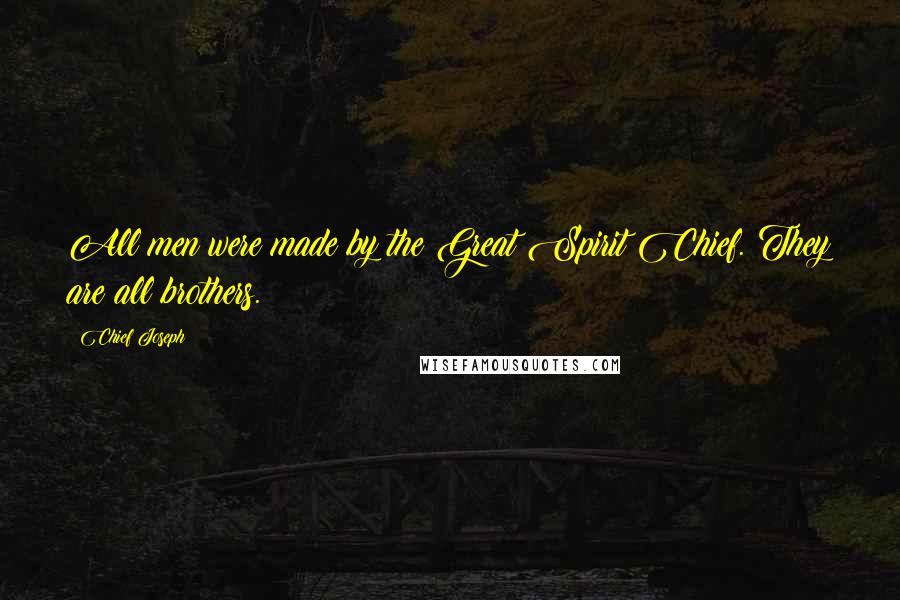 Chief Joseph Quotes: All men were made by the Great Spirit Chief. They are all brothers.