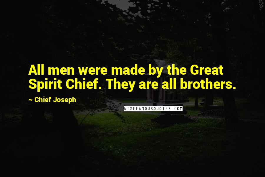 Chief Joseph Quotes: All men were made by the Great Spirit Chief. They are all brothers.