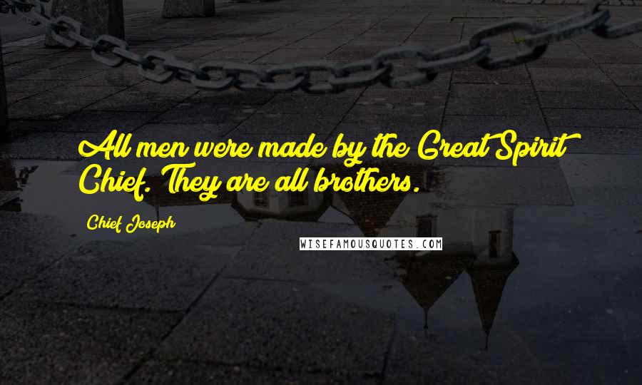 Chief Joseph Quotes: All men were made by the Great Spirit Chief. They are all brothers.